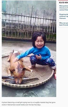 越南女童爱犬走失，几日后在狗肉摊看到，一眼认出痛喊“那是花花”。