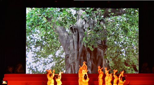 清凉寺义工、南京师范大学紫金幼儿园献上了少儿舞蹈《千手观音》精彩节目